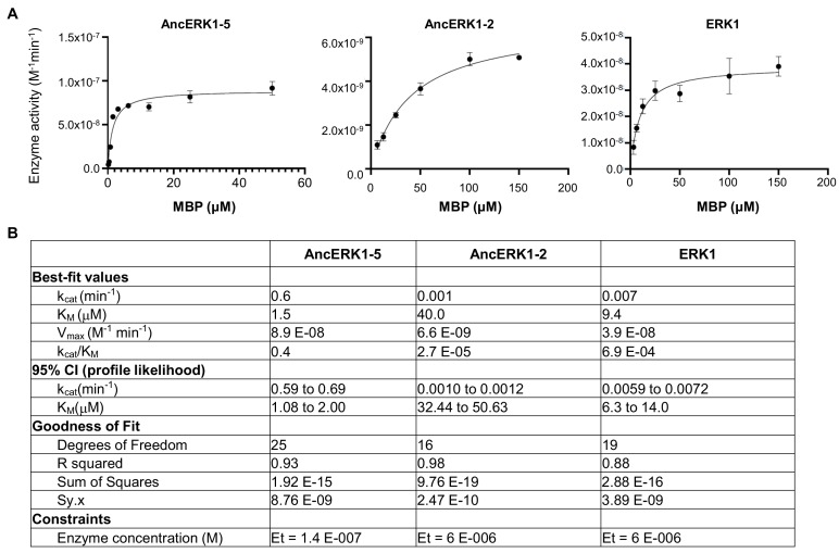 Figure 1—figure supplement 6.