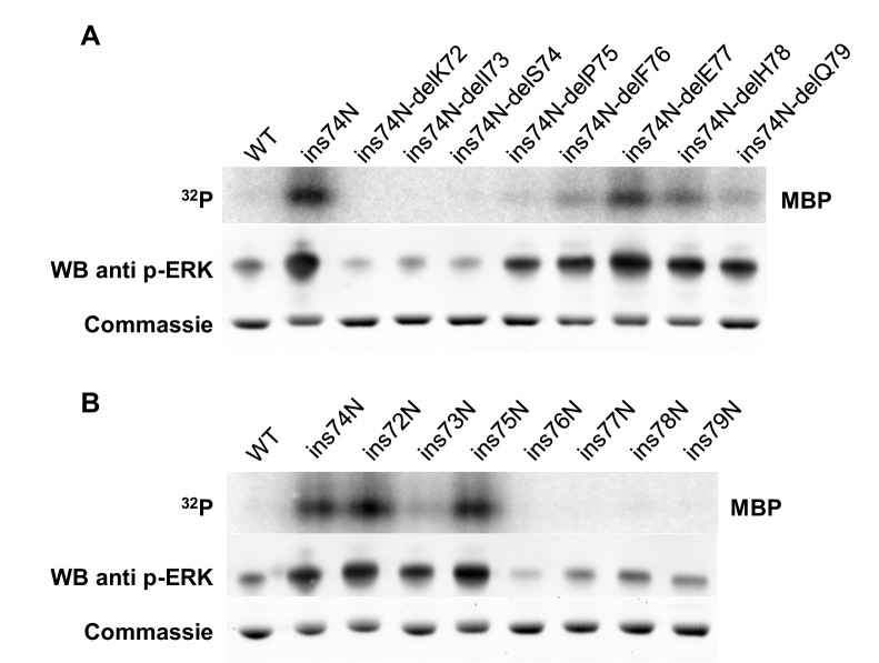 Figure 4—figure supplement 2.