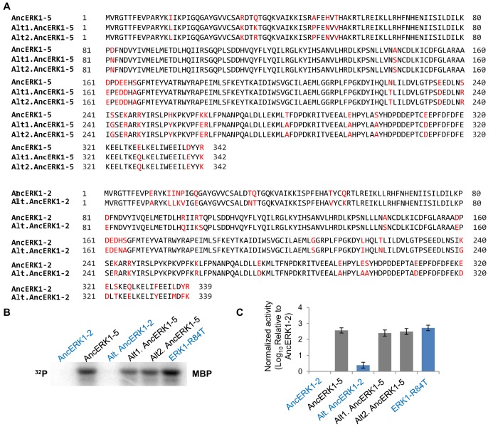 Figure 3—figure supplement 1.