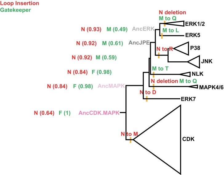 Figure 3—figure supplement 4.