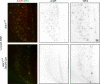 Figure 3—figure supplement 1.