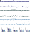 Figure 5—figure supplement 2.