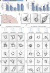 Figure 3—figure supplement 2.