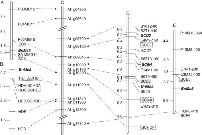 Fig. 2.