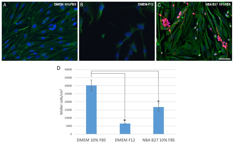 FIGURE 3