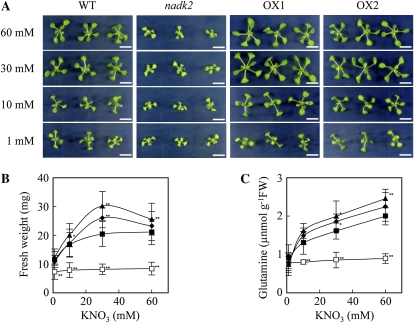 Figure 7.