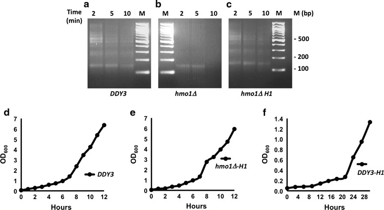 Fig. 6