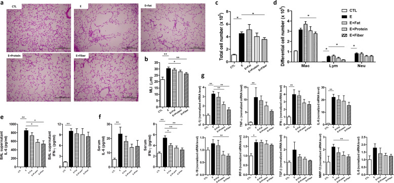 Fecal microbial transplantation and a high fiber diet attenuates ...