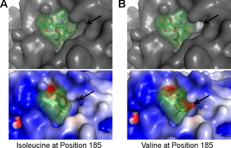 FIGURE 4.