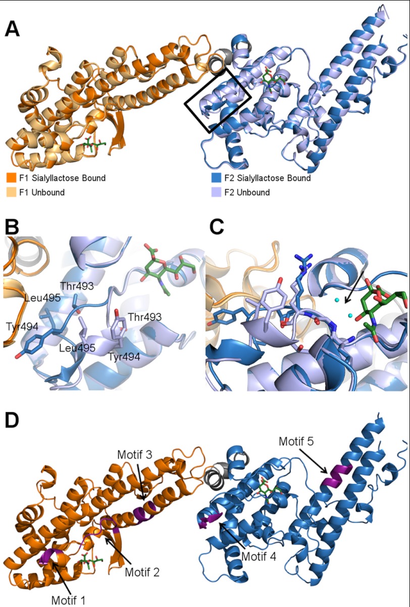 FIGURE 5.