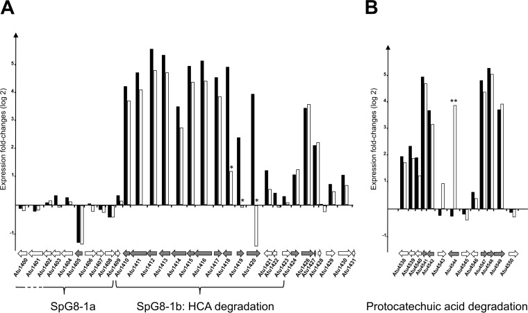 FIG 1