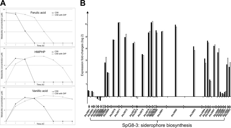 FIG 3