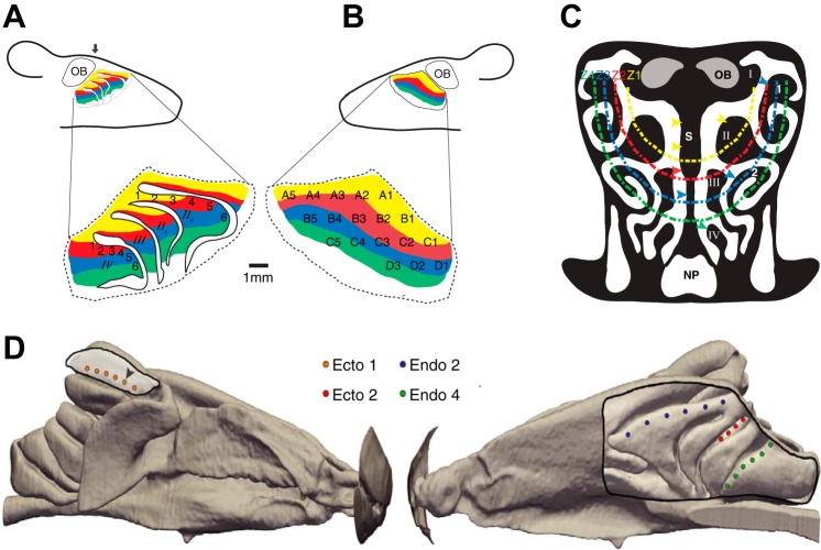 Fig. 1.