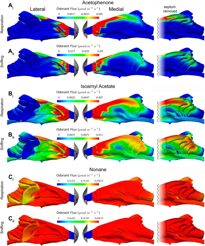 Fig. 7.