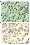 Fig.1