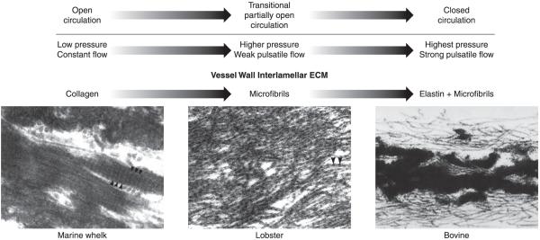 FIG. 8