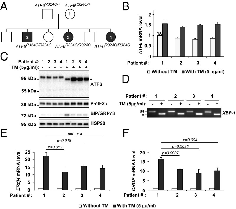 Fig. 4.