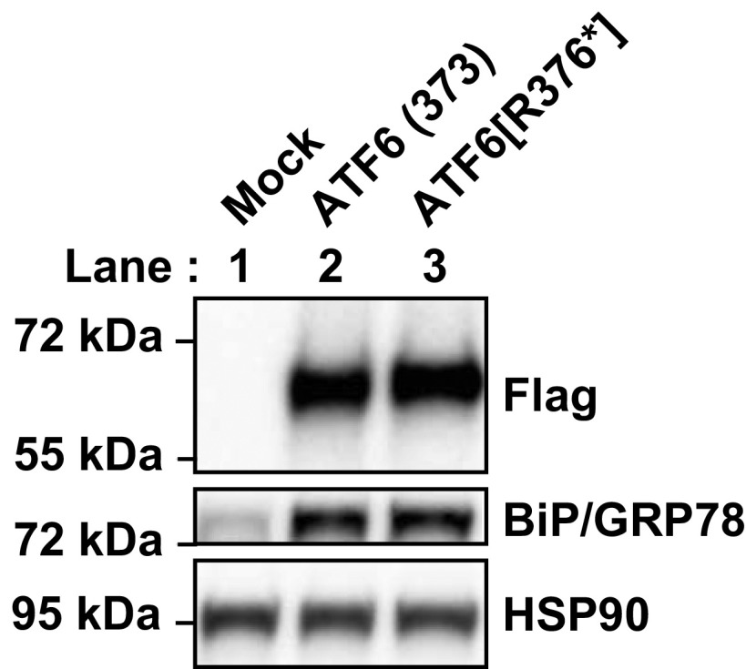 Fig. S3.