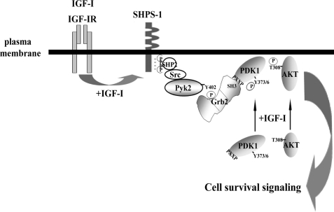 FIGURE 7.