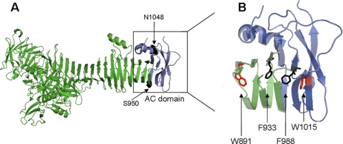 FIGURE 1.