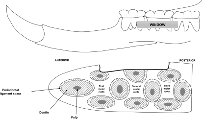 Fig. (4)