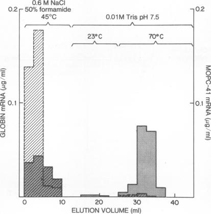 graphic file with name pnas00073-0104-a.jpg