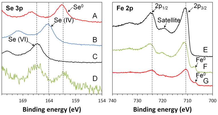 Fig. 10