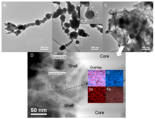 Fig. 12