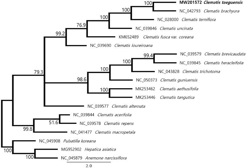 Figure 1.