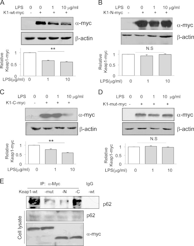 FIG 6