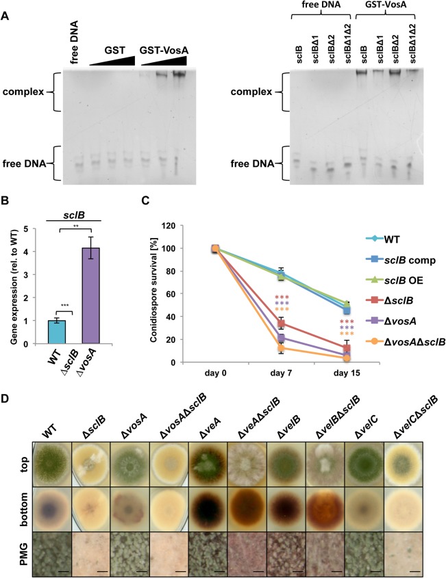 Fig 4