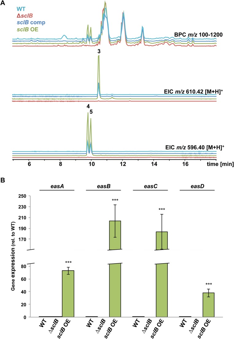 Fig 9