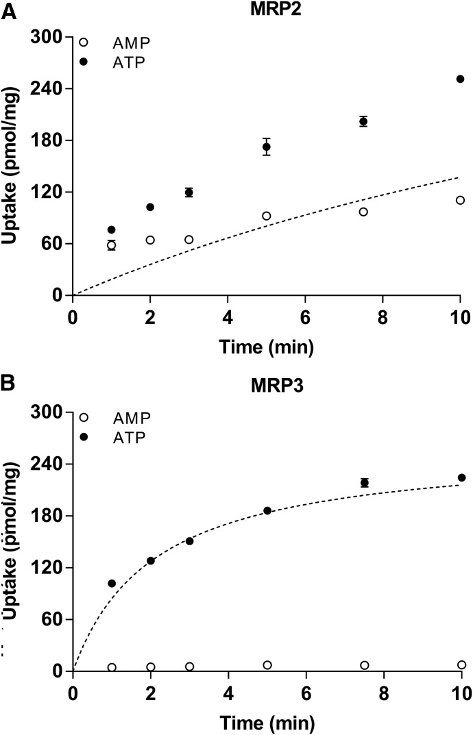 Fig. 10.