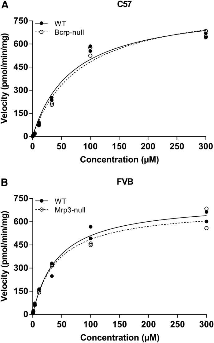 Fig. 9.