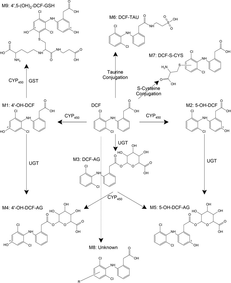 Fig. 8.