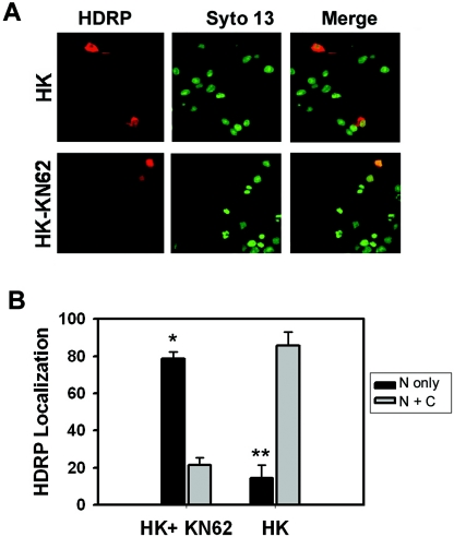 FIG. 8.