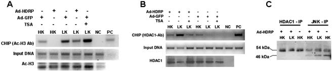 FIG. 12.