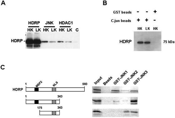 FIG. 11.