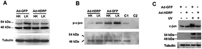 FIG. 10.