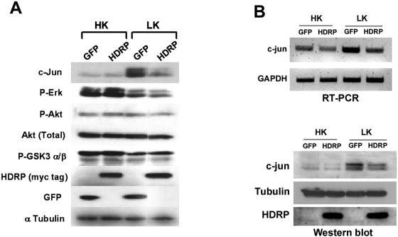 FIG. 9.