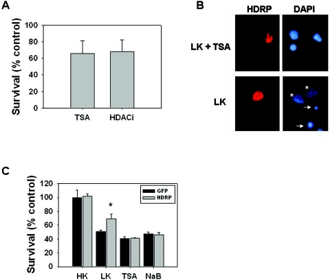 FIG. 13.