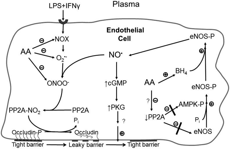 FIG. 6.