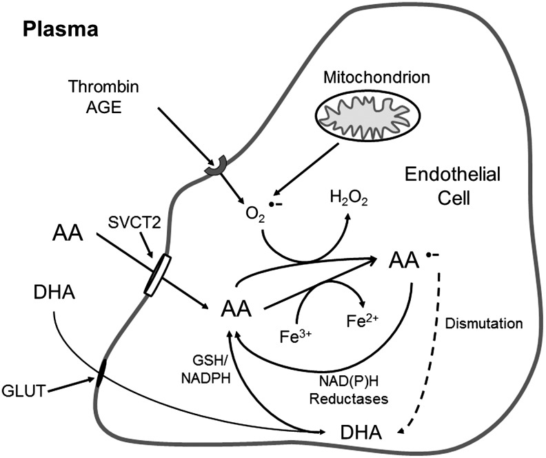 FIG. 3.