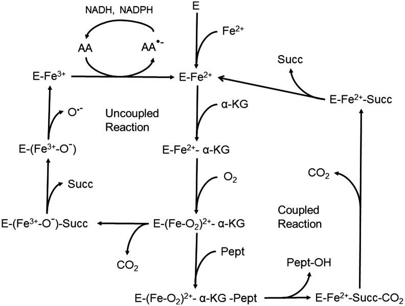 FIG. 7.