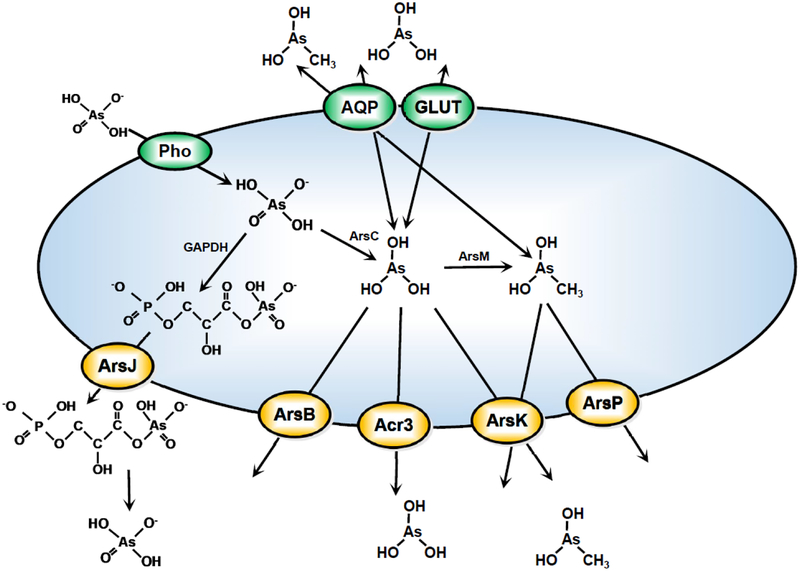 Figure 5.