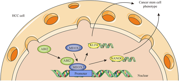 FIGURE 7