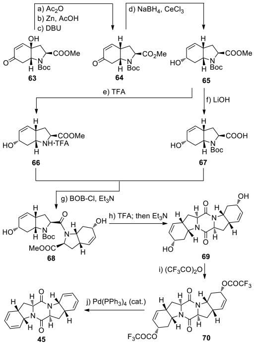 Scheme 5