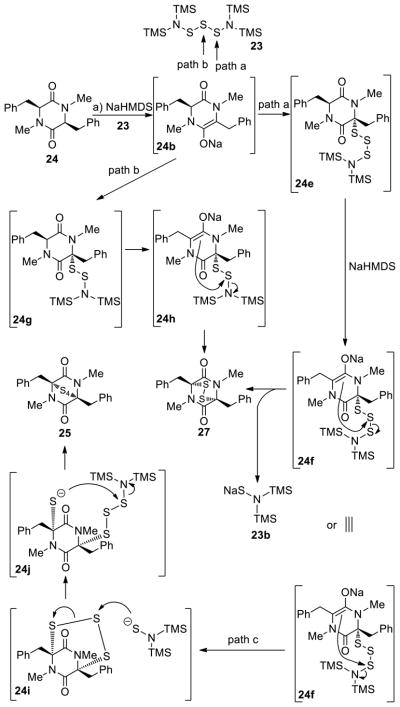 Scheme 3