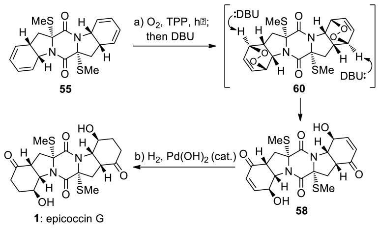 Scheme 7