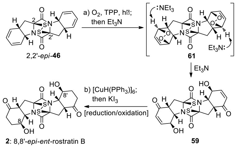 Scheme 8